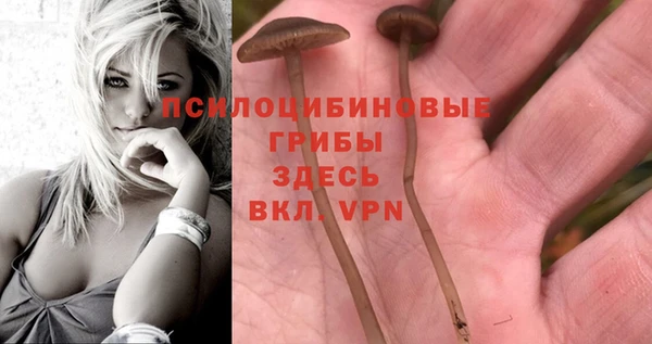 хмурый Нефтекумск