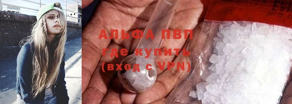 хмурый Нефтекумск