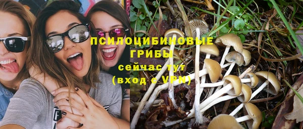 сатива Нея