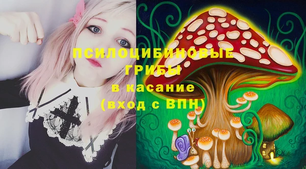 гашик Новодвинск