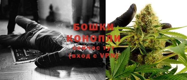 шишки Нефтегорск