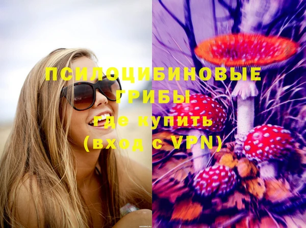 бутират Новозыбков