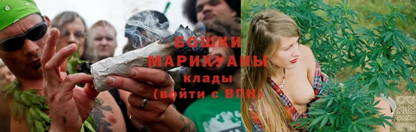 шишки Нефтегорск