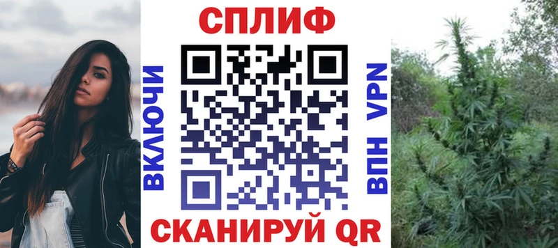 Конопля Bruce Banner Нефтегорск
